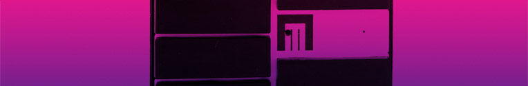 foto-seccion-06